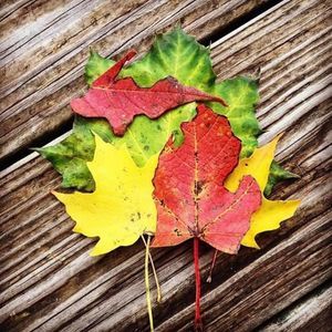 Meet your Posher, Leann